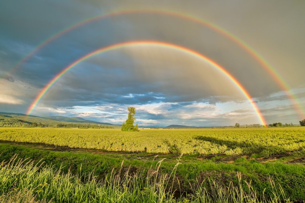 rainbow over grasslands